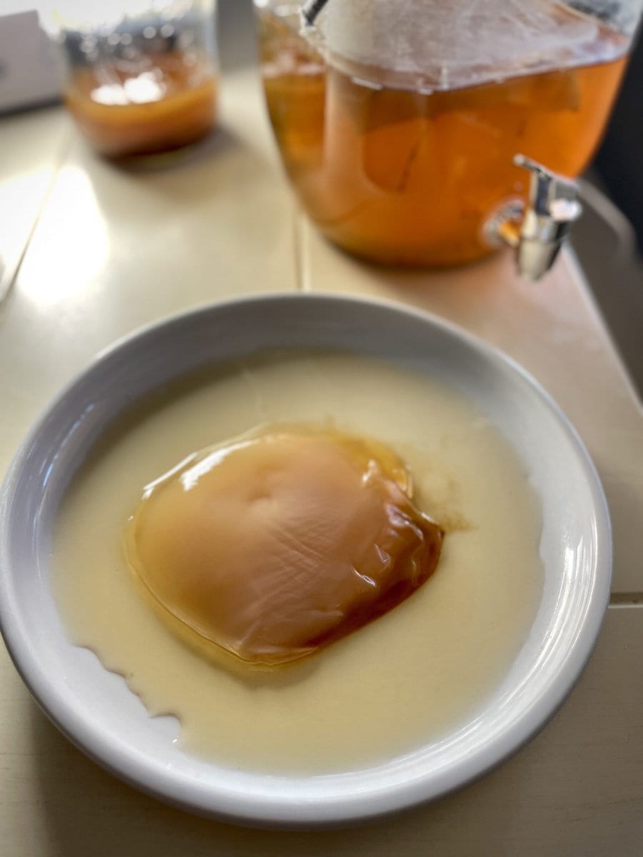 How To Make A Scoby From Scratch 